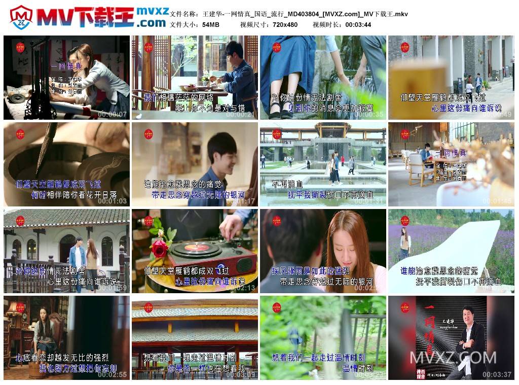 王建华-一网情真_国语_流行_MD403804